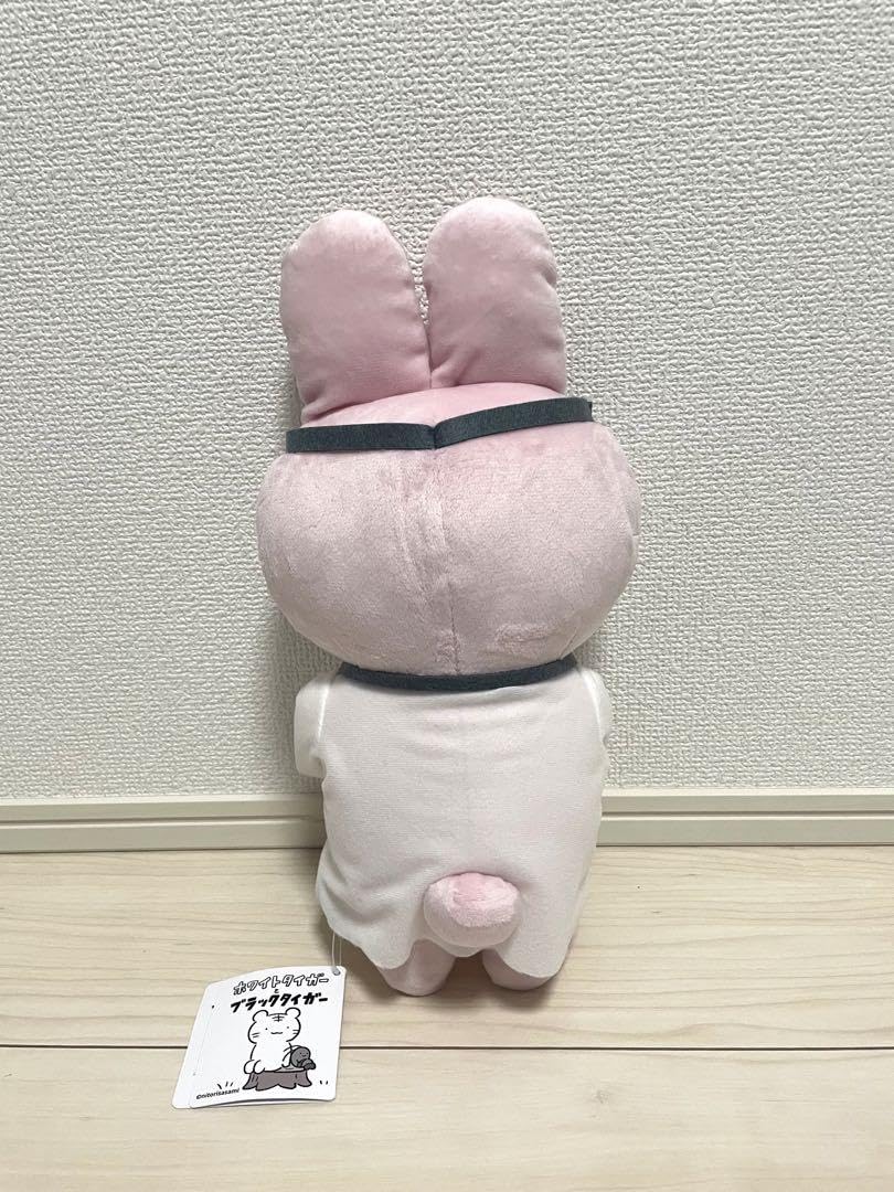 Amazon.co.jp: ☆ うさぎ先生 ホワイトタイガーとブラックタイガー